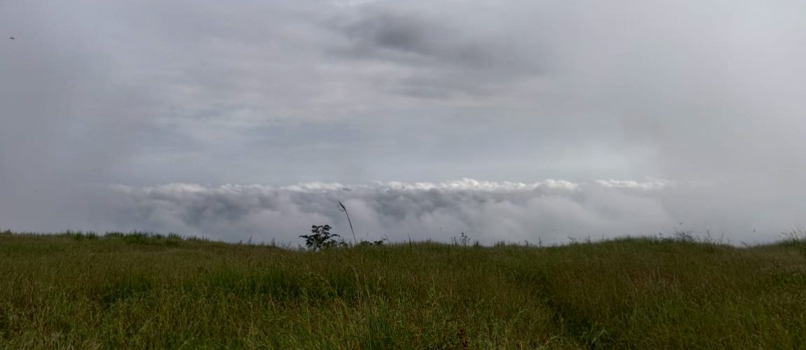 WhatsApp Image 2024-10-21 at 17.47.17_f732a146